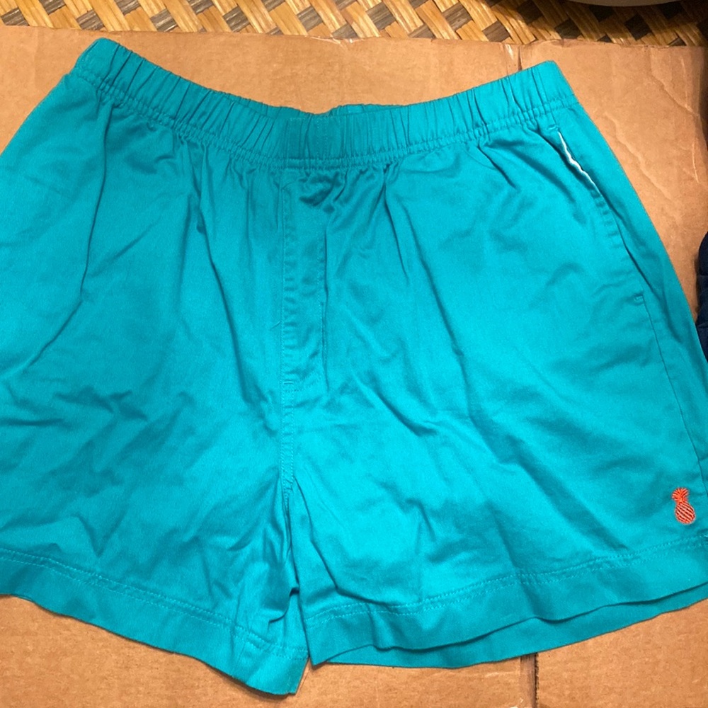 Chubbies. Turquoise blue. Size Large